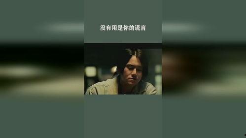 没用的谎言,探寻真实与虚假的边界